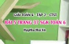 Giải bài 5 trang 37 Toán 6 Tập 2 SGK Chân trời sáng tạo